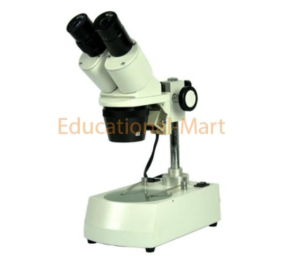 Educational Stereo Microscope