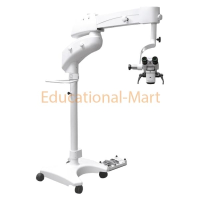 Educational Surgical Microscope