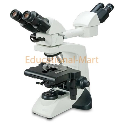 Educational Teaching and Multi Head Microscope