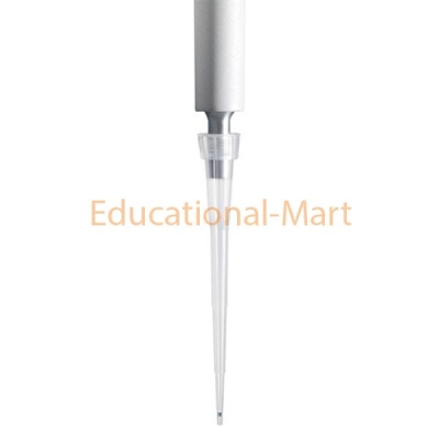 Educational Clinical Laboratory