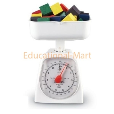 Educational Mechanical Balance