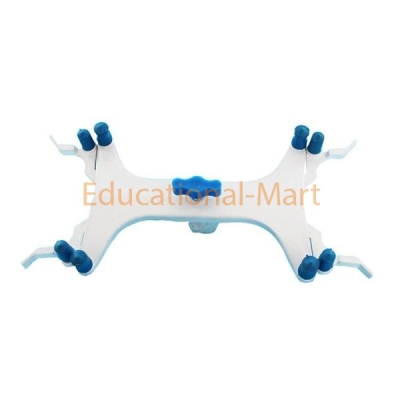 Educational Lab-Clamps