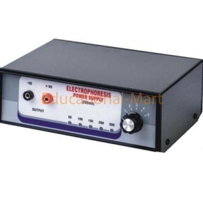 Educational Electrophoresis