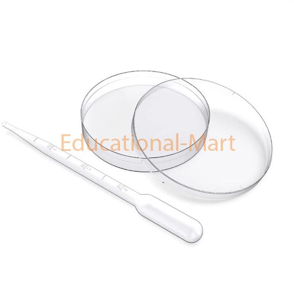 Educational 150mm Petri Dish
