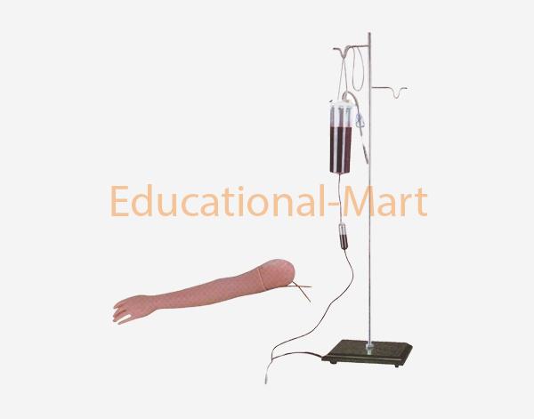 Advanced Arm Model for Tansfusion and Intramuscular Injection