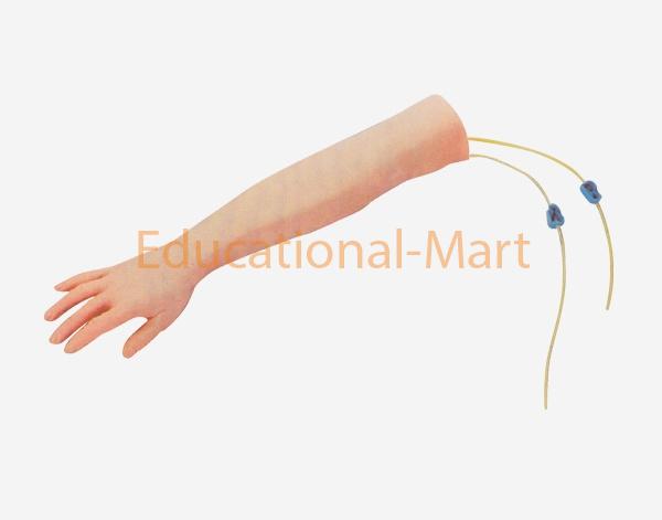 Advanced Arm Model for Venipunct