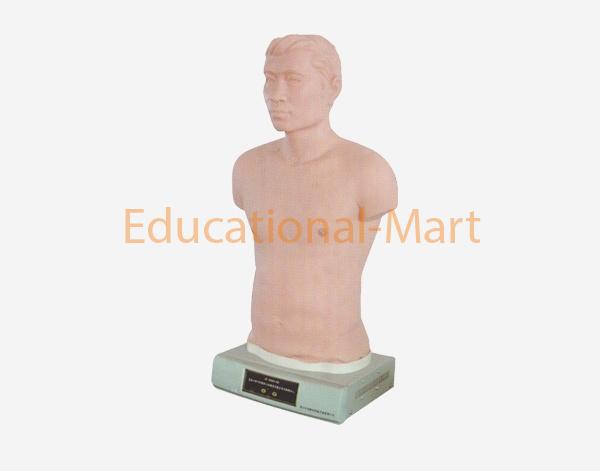 Analogue for Auscultation and Palpation