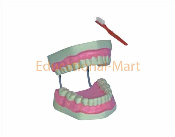 Tooth Hygiene Set