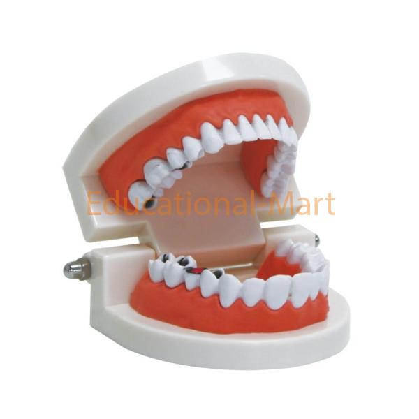 Tooth Hygiene Set with Tongue